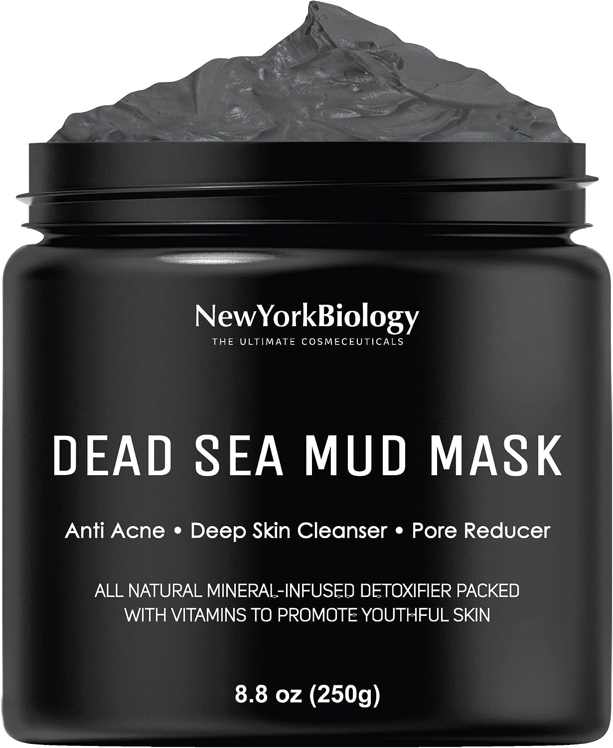 New York Biology Mud Mask Review